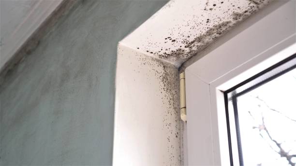 Water Damage Restoration in Roundup, MT